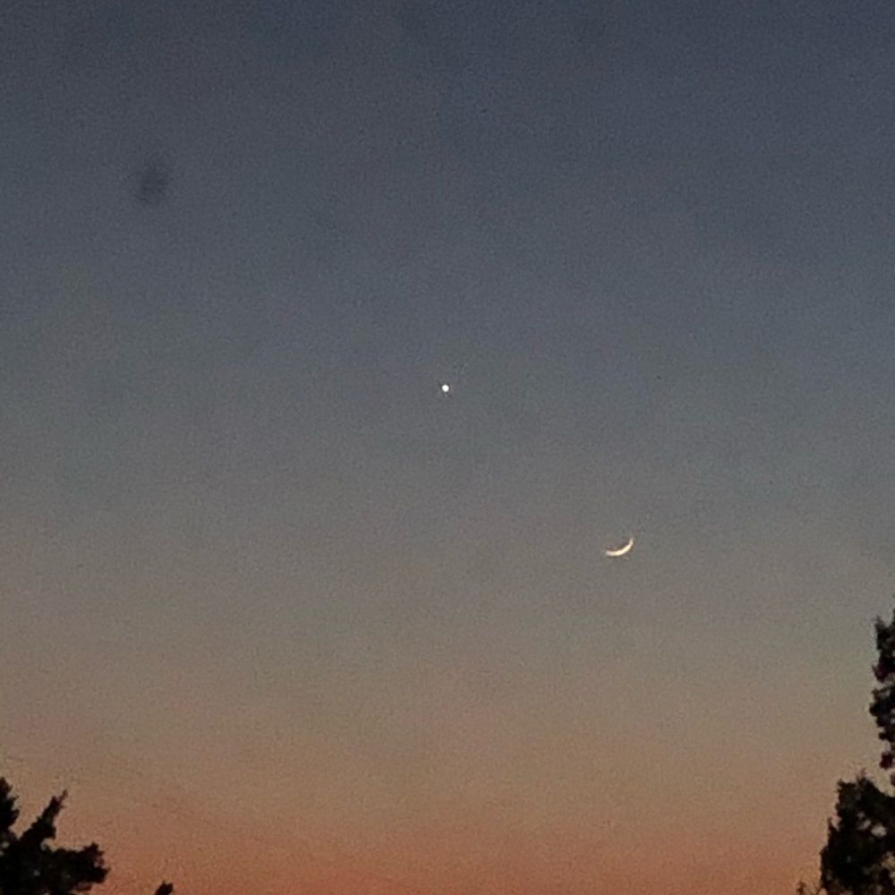 Meet your Posher, Macey